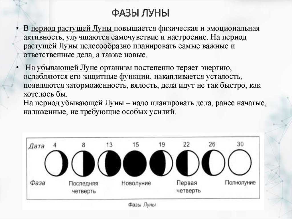 Стрижка по дням недели — как выбрать время для прически