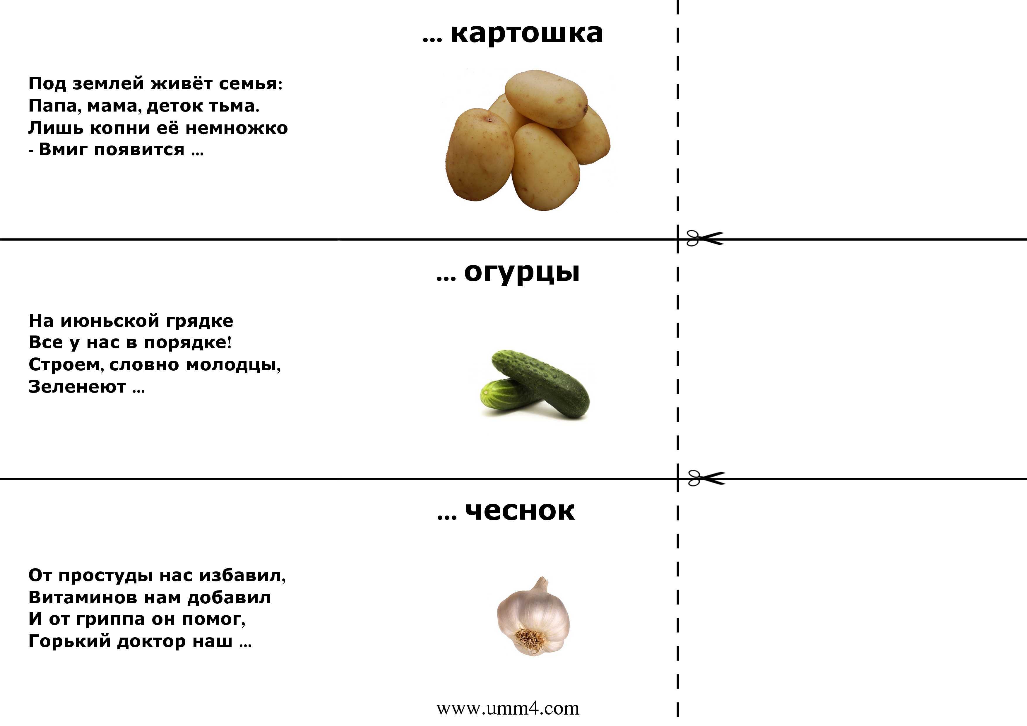 Загадки про праздники