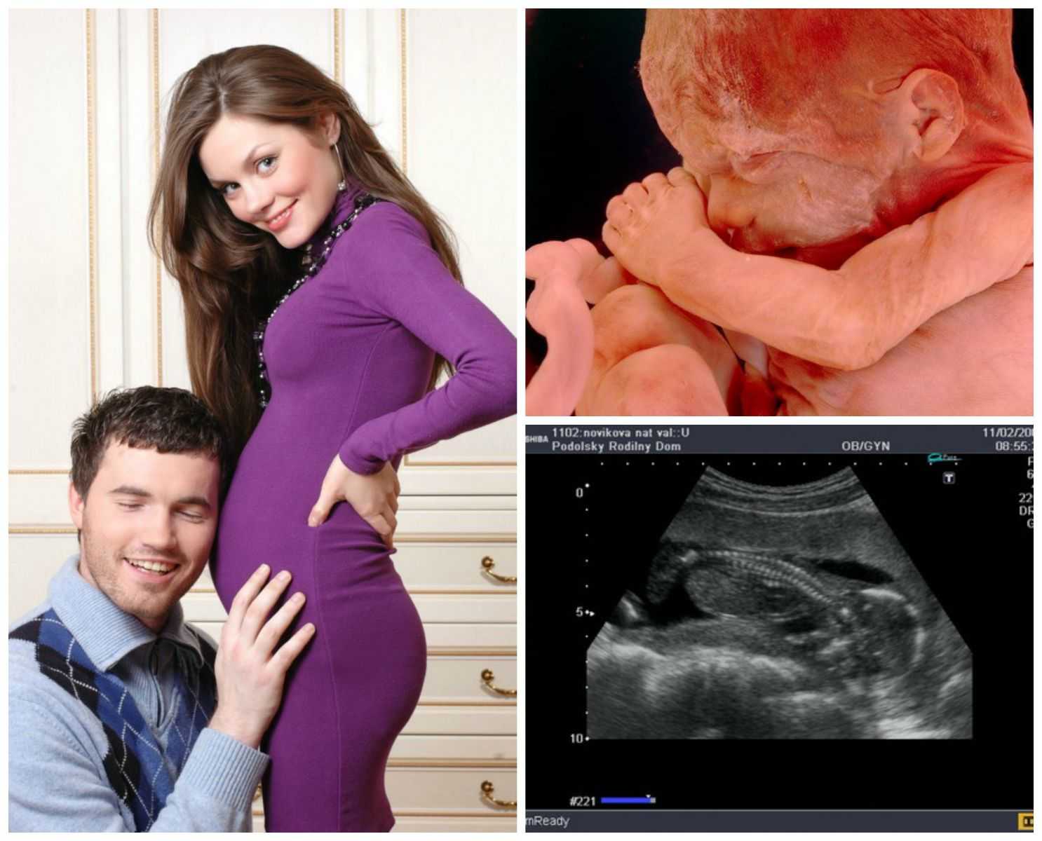 Беременность 15 мм. 15 Недель беременности. Плод на 15 неделе беременности. Ребёнок на 15 неделе беременности.