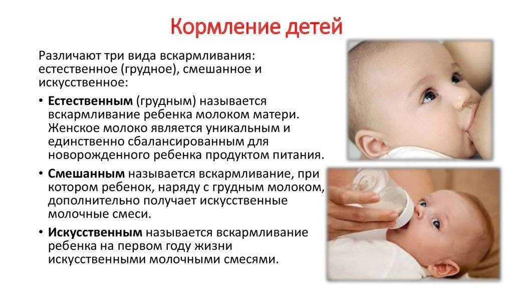 Нормы питания грудничка от рождения до года при грудном и искусственном вскармливании