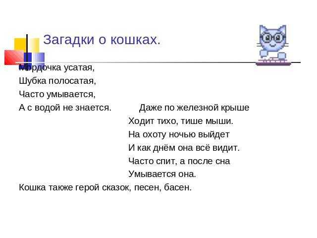 Загадки про кошек и котов