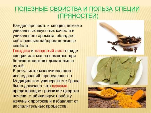 Лавровый лист: 9 лечебных свойств