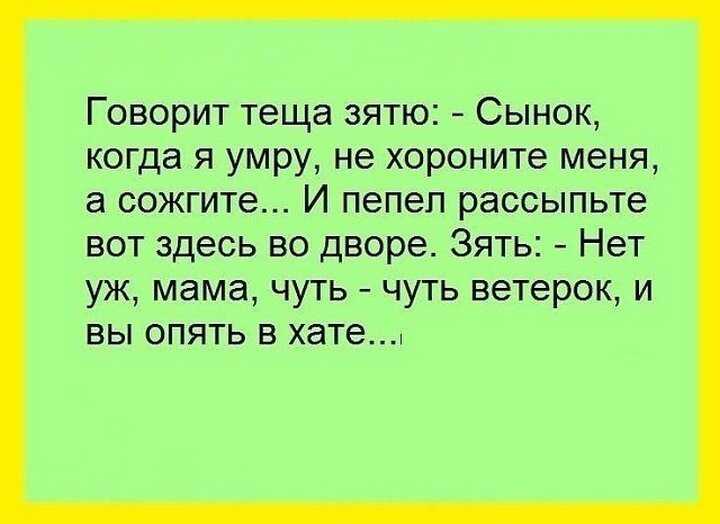 Тёща и зять: как жить дружно и не доводить до слёз жену · всё о беременности, родах, развитии ребенка, а также воспитании и уходе за ним на babyzzz.ru