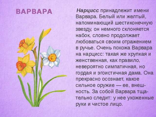 Значение имени варвара и карма
