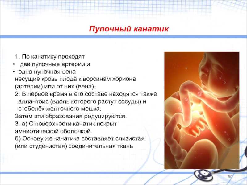 Тромбоз сосудов пуповины: обзор литературы и описание двух клинических наблюдений