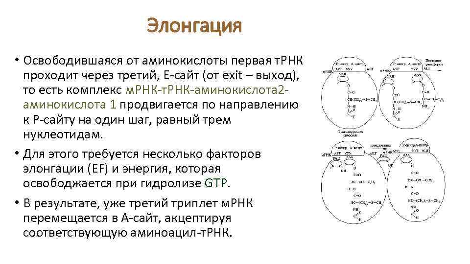 Рак шейки матки - симптомы, признаки, диагностика