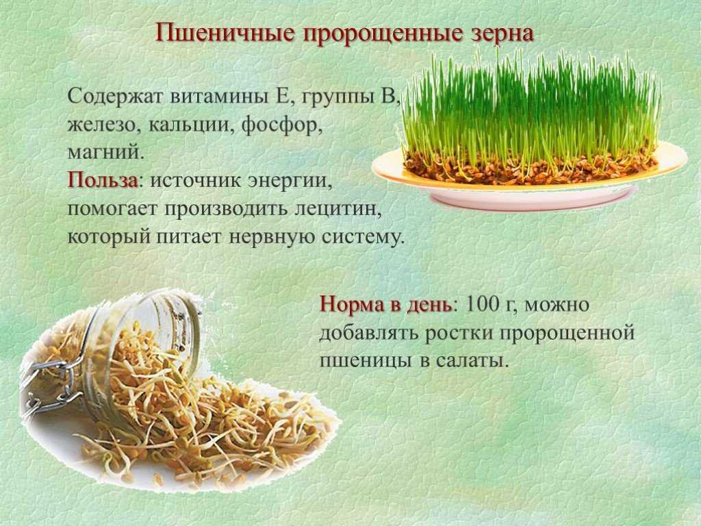 Как лучше хранить пророщенный маш