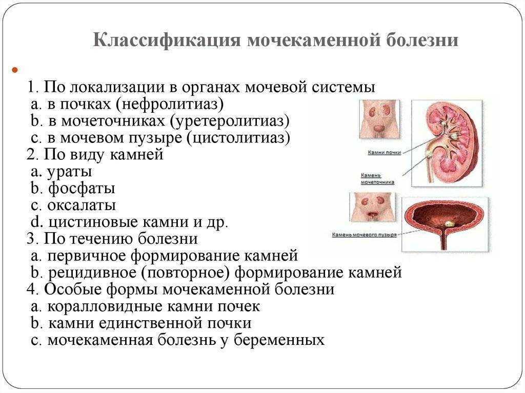Оксалаты в моче у ребенка: какая норма? как лечить?