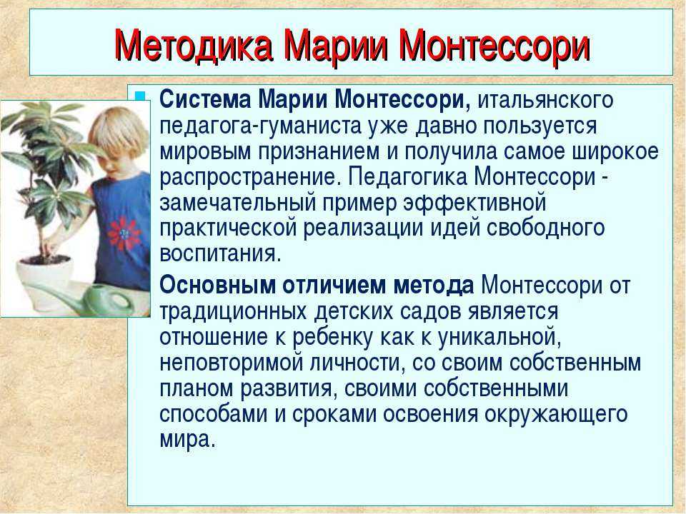 Раннее развитие ребенка 1-3 года. методика монтессори