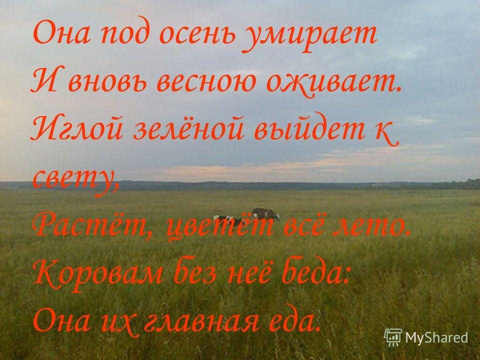 Загадки про еду для детей