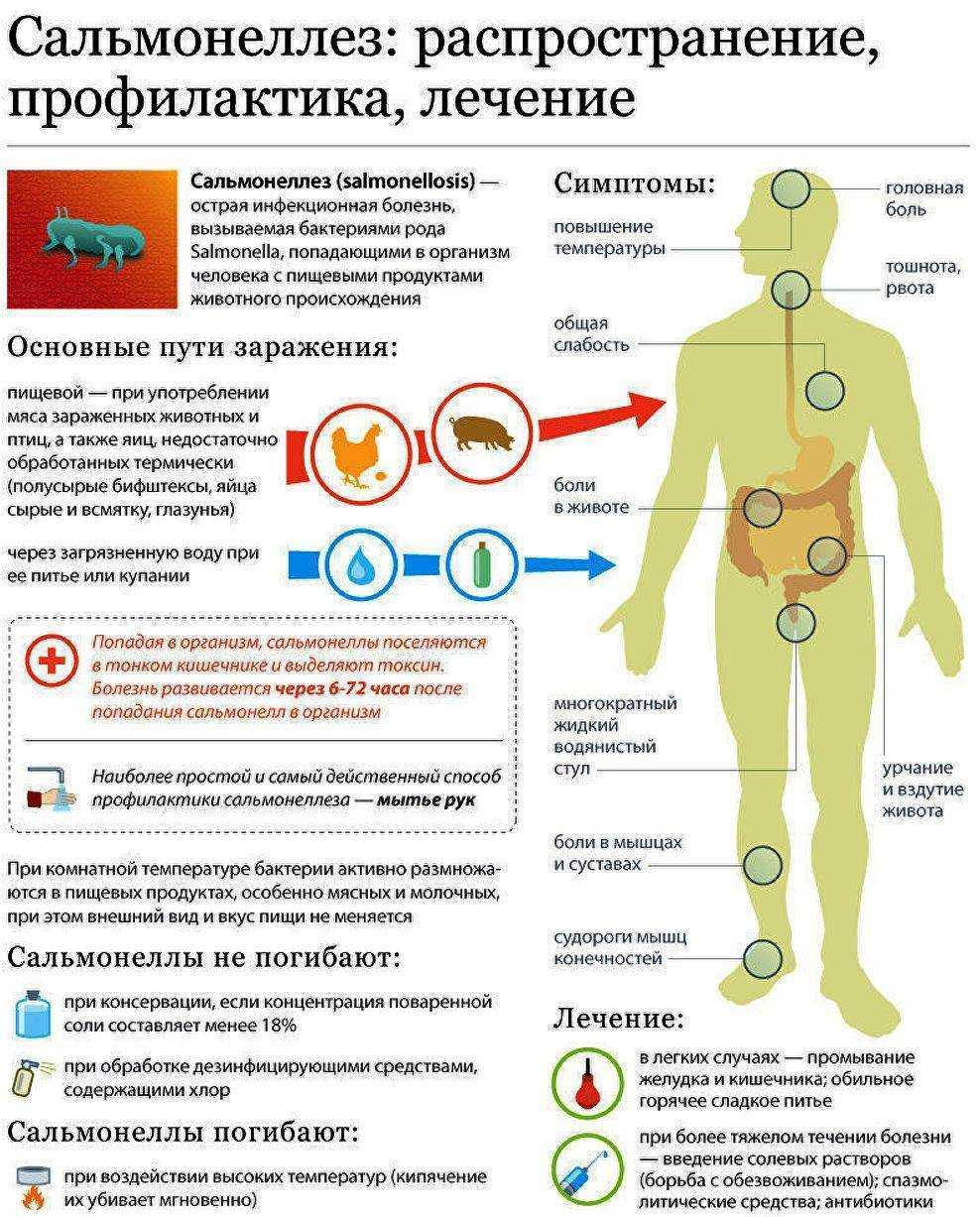 восстановление стула после сальмонеллеза