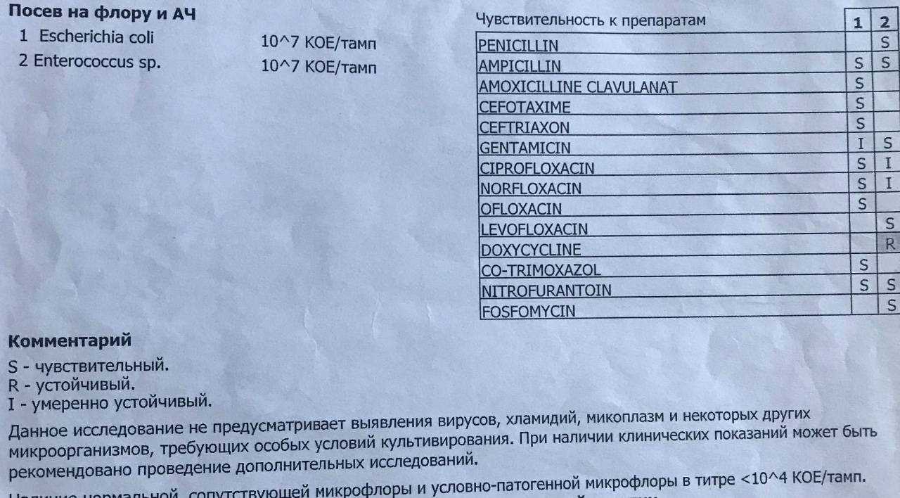 Гинекологический мазок на флору из влагалища: зачем берут общий мазок на флору, норма, что показывает