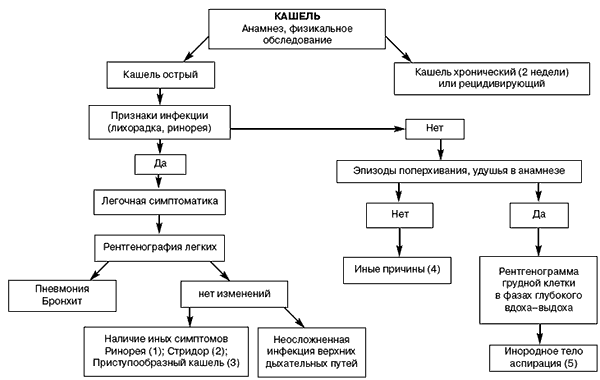 Схема лечения сухого кашля у взрослого