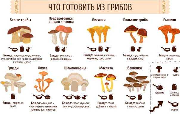 Можно ли давать детям грибы и с какого возраста (шампиньоны и пр) комаровский