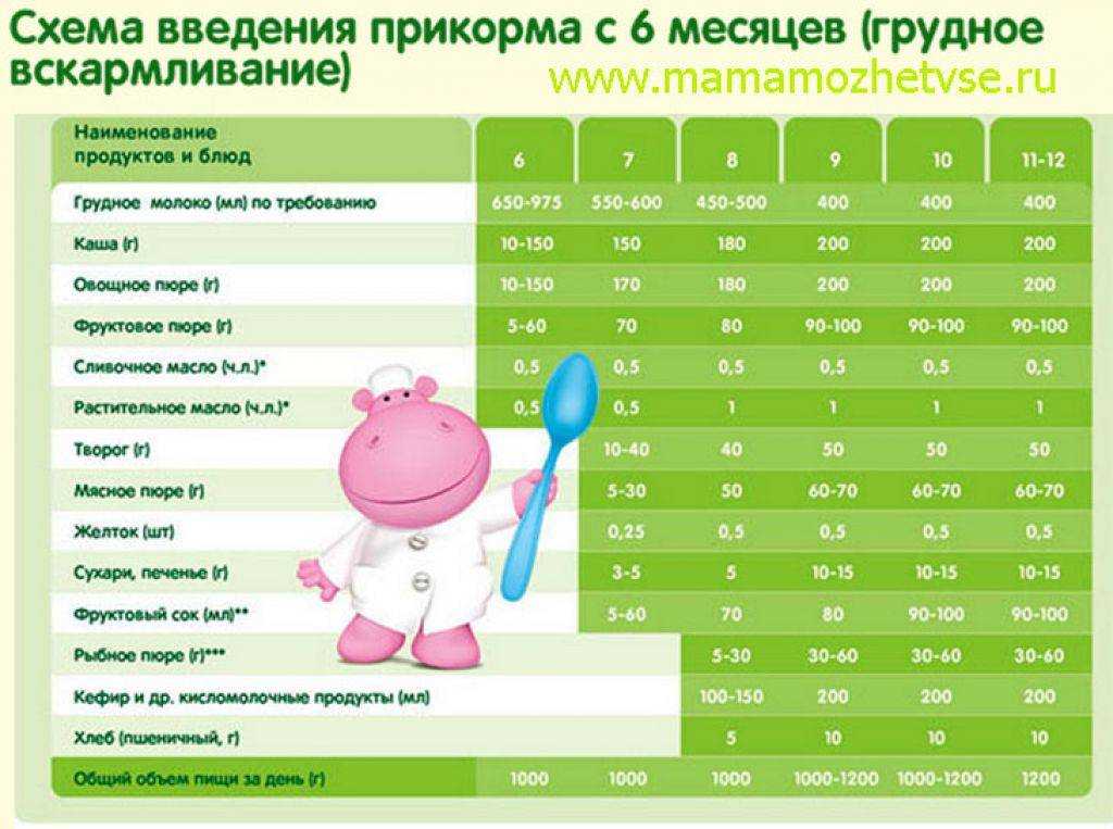 Меню вашего ребенка
