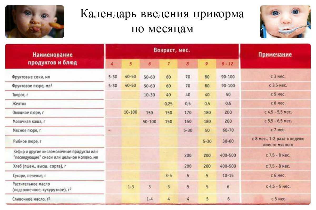 В каком возрасте можно давать макароны ребенку