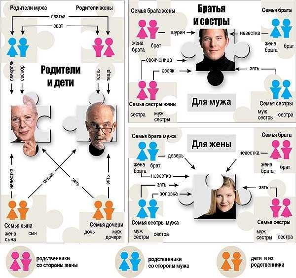 Зять, шурин и теща: почему в россии для каждого родственника есть отдельное название