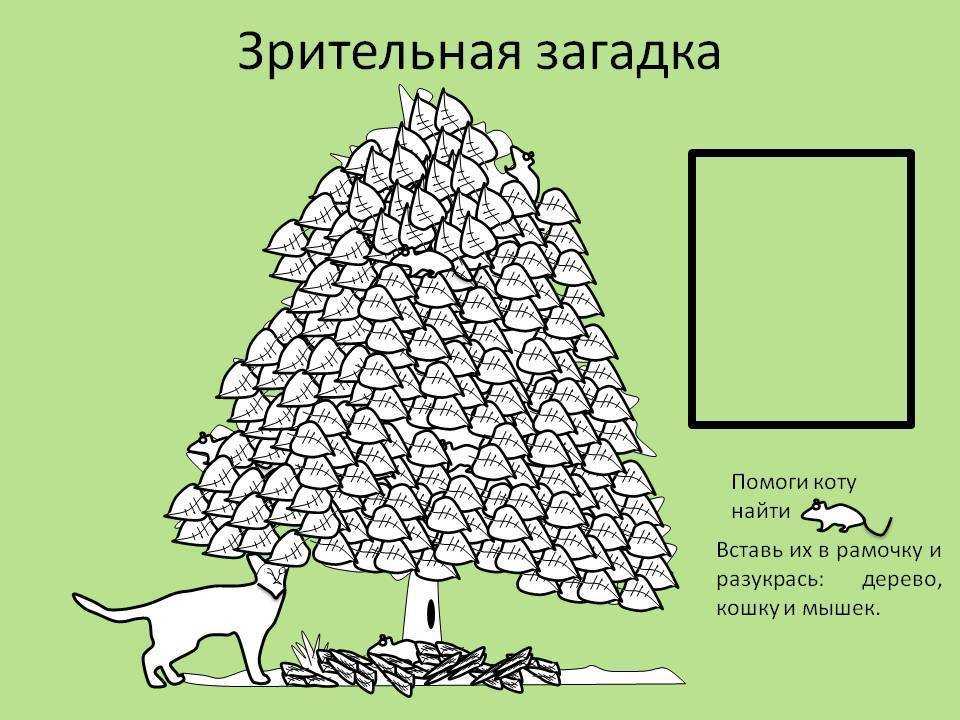 Зрительные головоломки в картинках с ответами