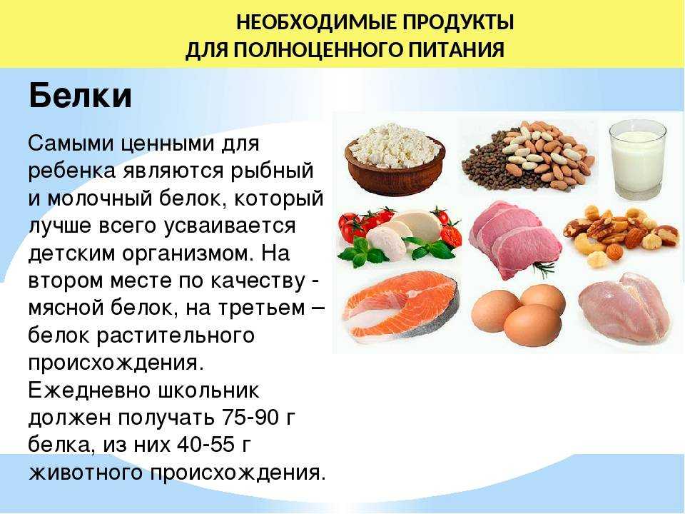 Животный и растительный белок: чем отличается (разница), какой лучше?