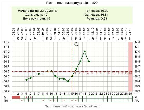График бт при беременности. график базальной температуры до задержки с примерами. как измерить базальную температуру?