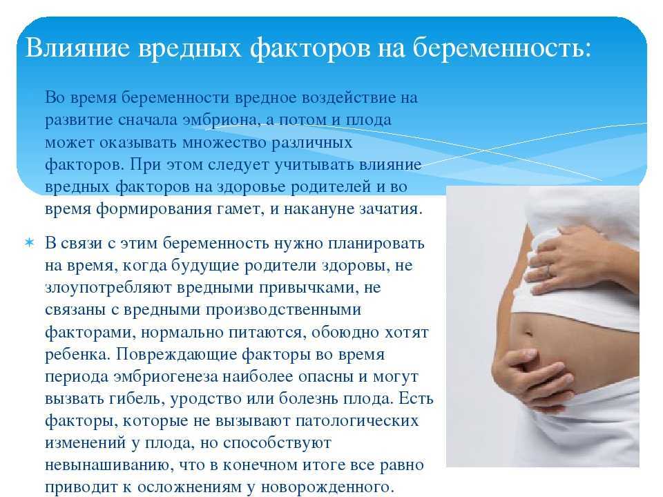Можно ли пить шиповник при беременности