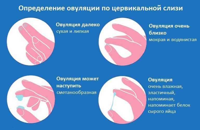 Субфебрилитет причины, симптомы, лечение, диагностика. субфебрилитет у детей, женщин, мужчин, беременных