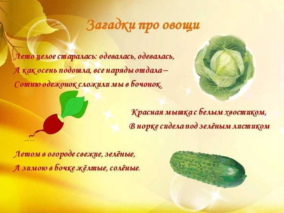  загадки сельскохозяйственные растения