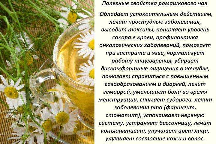 Ромашка при грудном вскармливании | уроки для мам