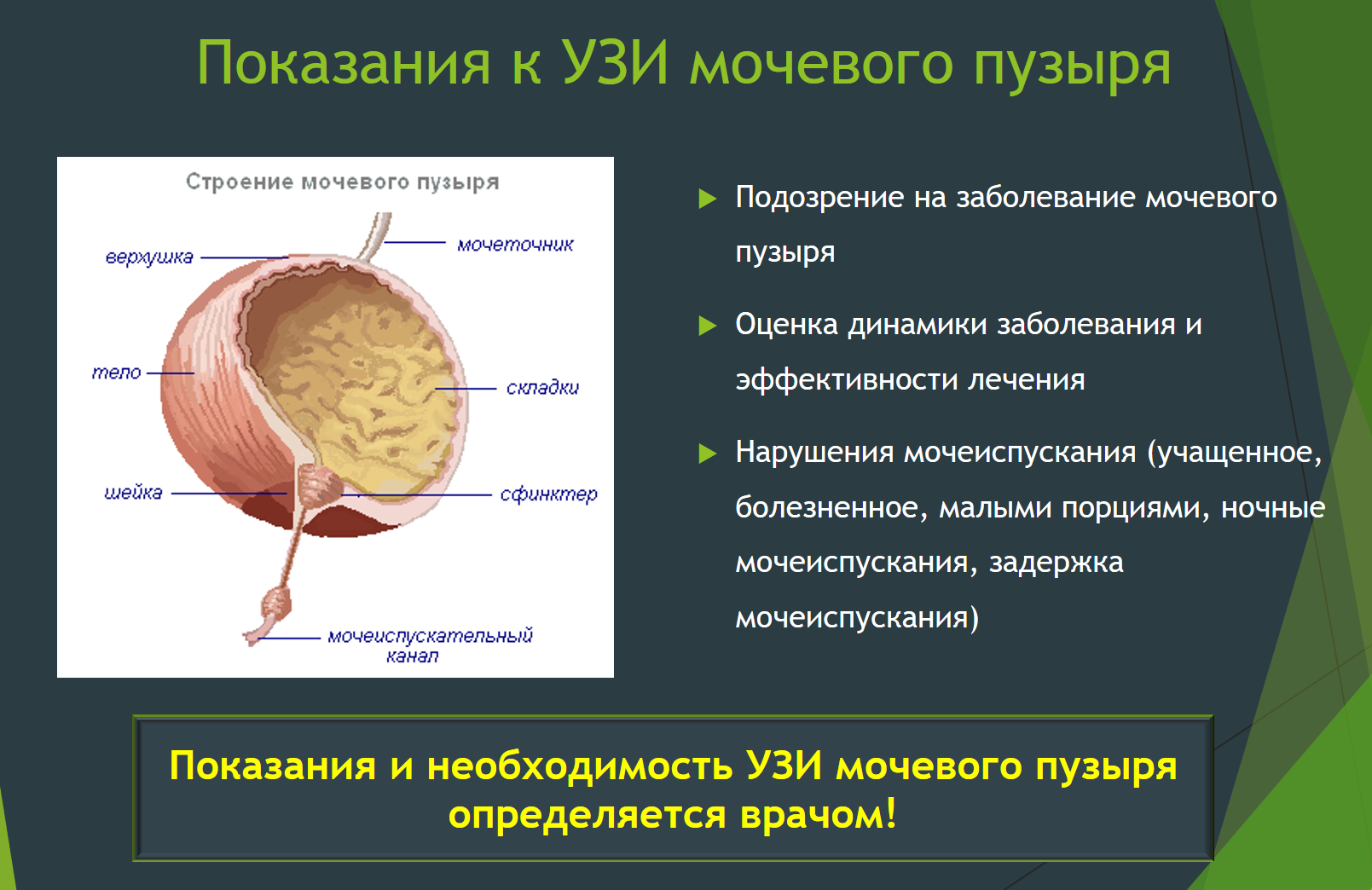 Как быстро и эффективно высушить обувь в любых условиях