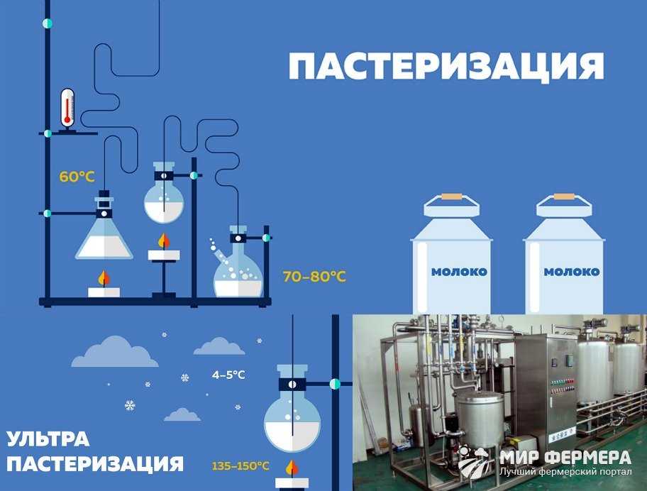 Нормализованное молоко: как делают продукт в чем его отличия от цельного и восстановленного