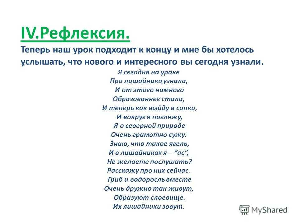 Стихи о мхах - раиса поликарповна трефилова