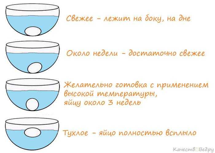 Проверка свежести яиц в воде