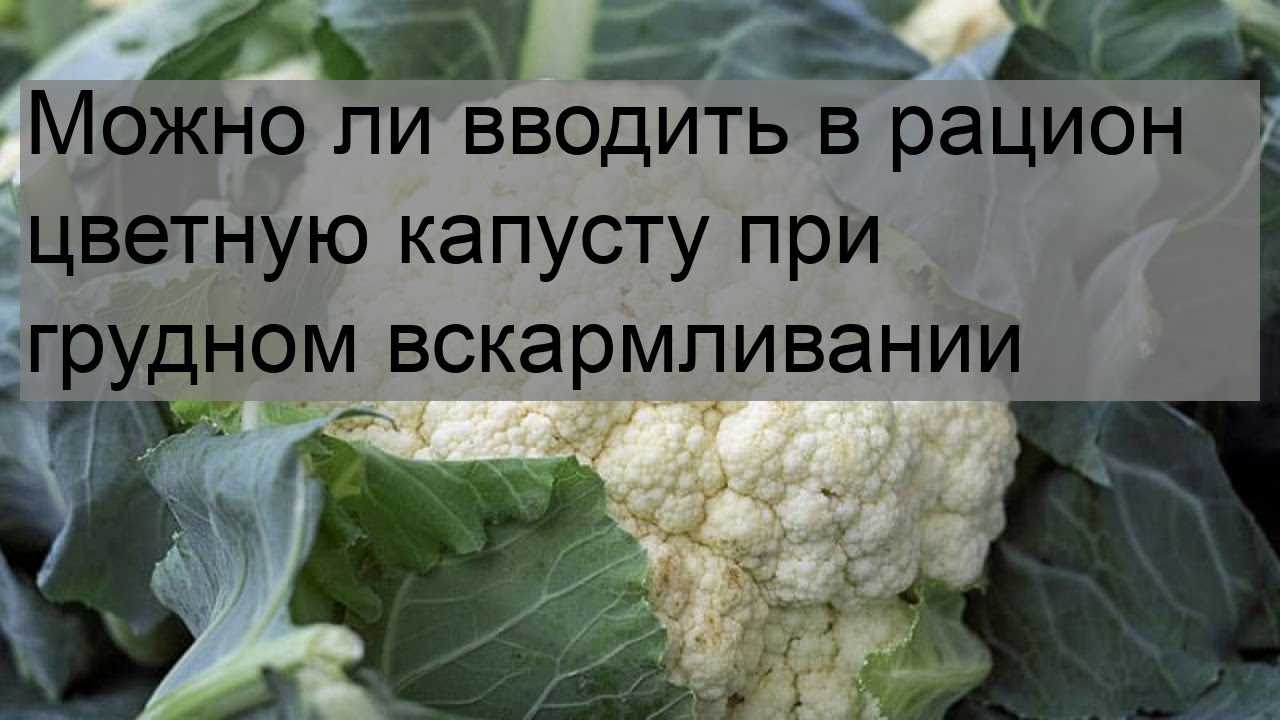 Цветная капуста при грудном вскармливании: можно ли, польза и вред