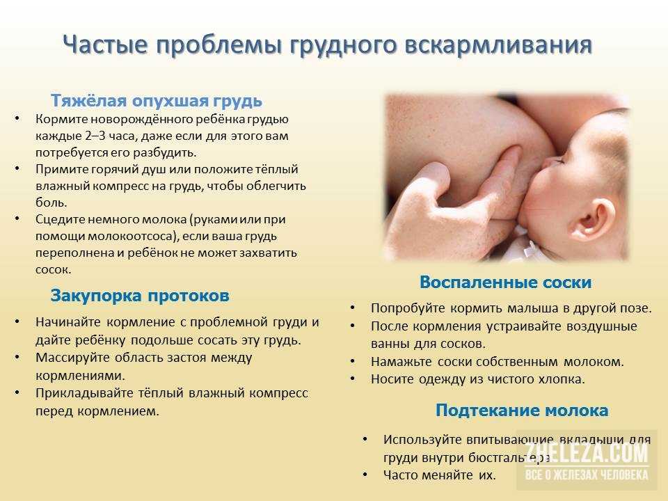 Лучшие аспираторы (соплеотсосы) для новорожденных на 2023 год