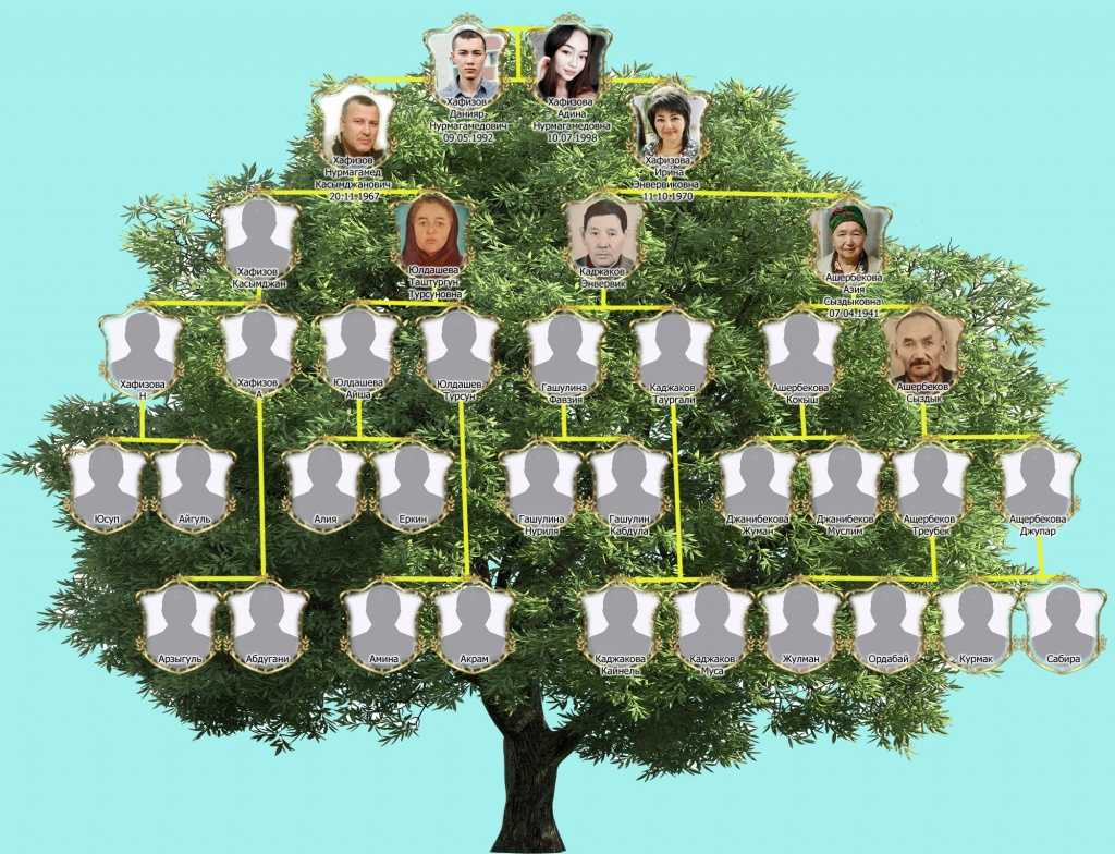 Найти свое древо. Семейное Древо Мадригаль. Генетическое Древо семьи родословная. Семейное Древо БАЛАХЧИНЫХ. Родословная Энканто родословная.