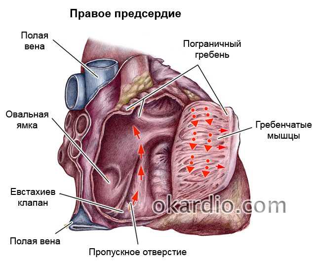 Диагноз марс у ребенка: что это такое, причины, диагностика и лечение