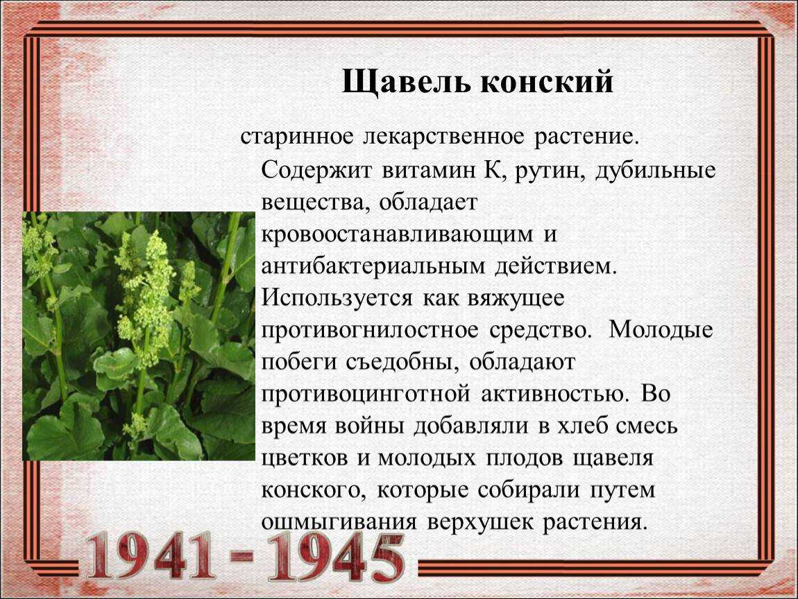 Гевискон® (суспензия): инструкция по применению | gaviscon®