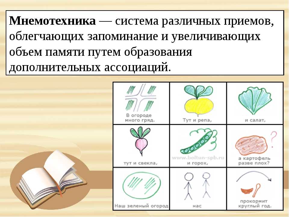 Мнемотехники для развития памяти: методы и упражнения