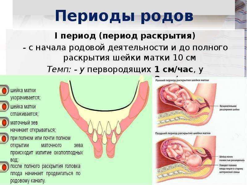 5 способов ускорить роды на 39 неделе беременности