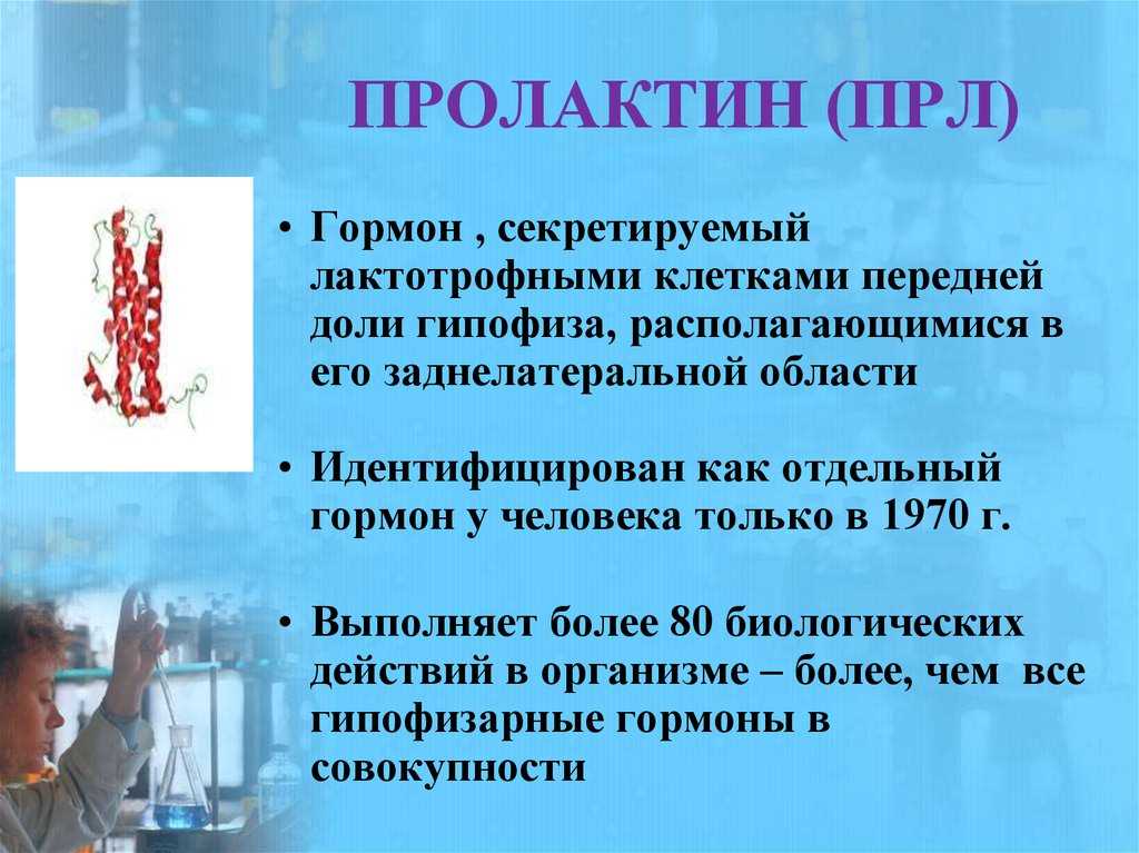 Норма пролактина у женщин: причины отклонений и методы лечения / mama66.ru