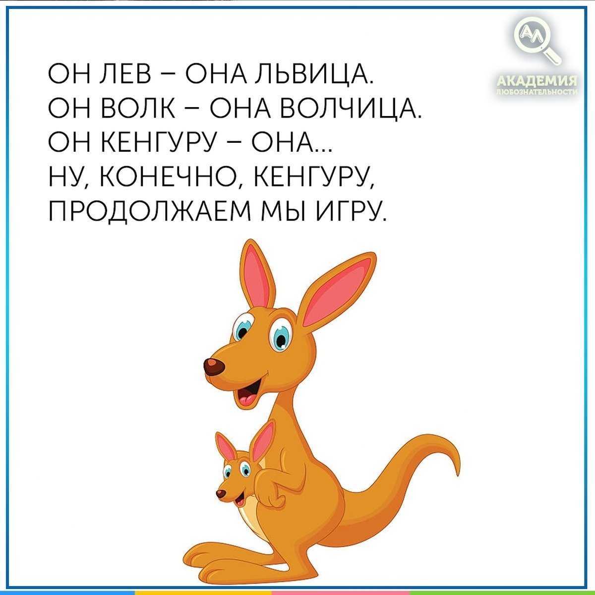 10 визуальных загадок для самых внимательных и сообразительных