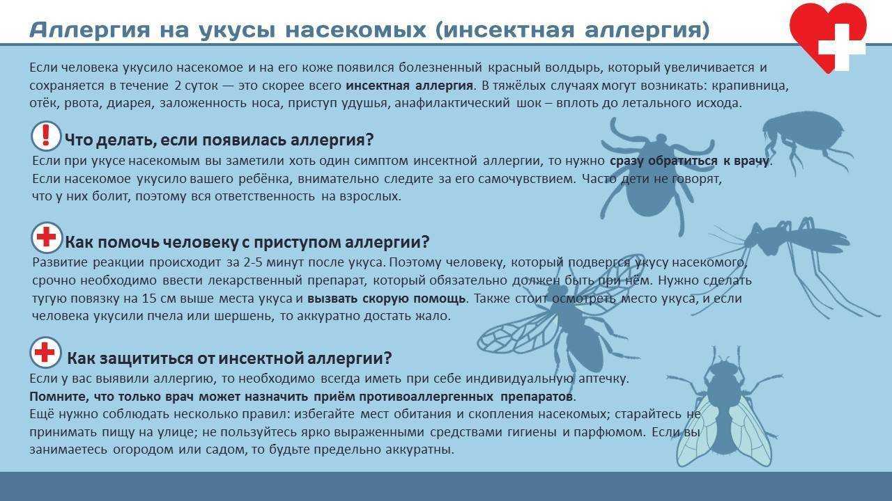 Укусы постельных клопов на ребенке: характерны признаки