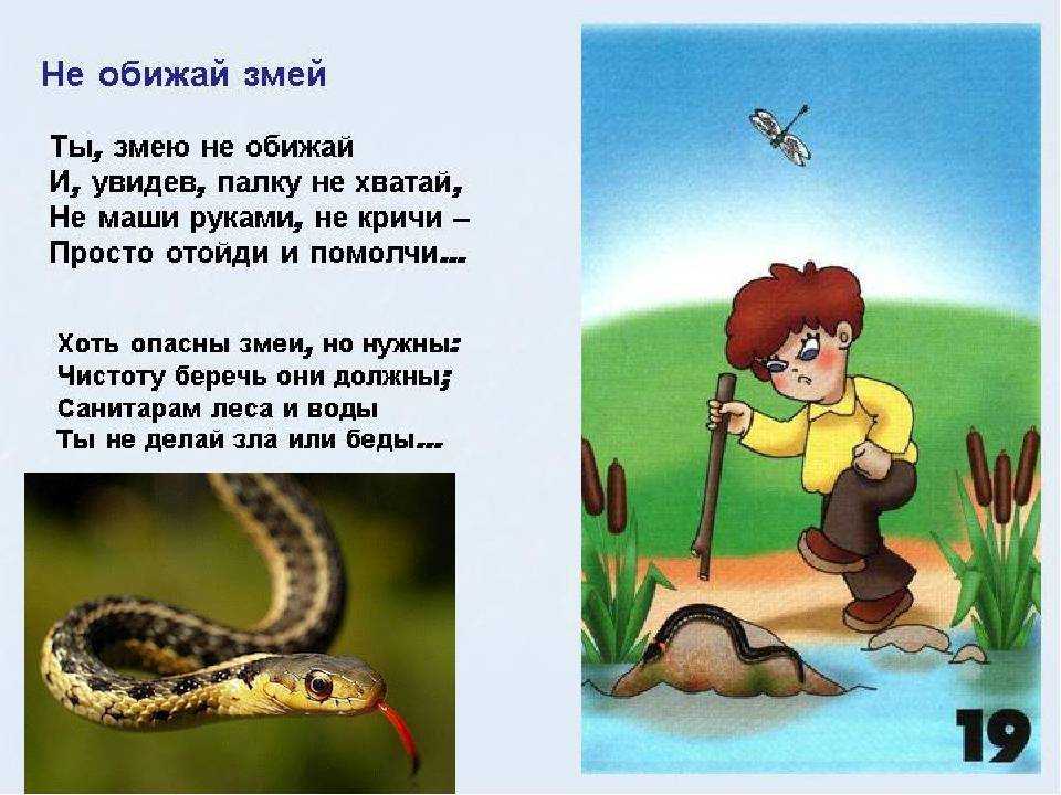 Загадка про змей для взрослых. загадки про змею. несколько интересных детских загадок