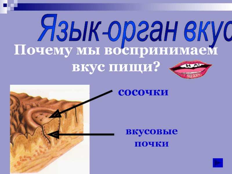 Почему вкус