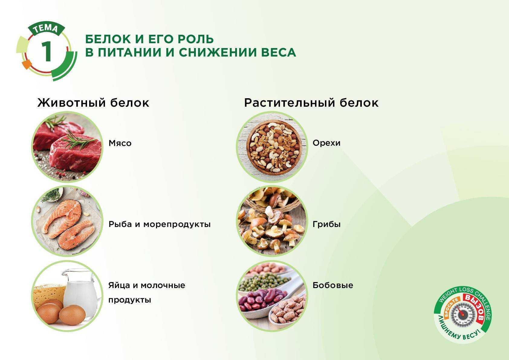 Растительные и животные белки