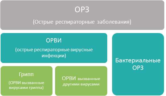 Геморрагическая лихорадка с почечным синдромом или «мышиная лихорадка» | детская городская поликлиника № 7