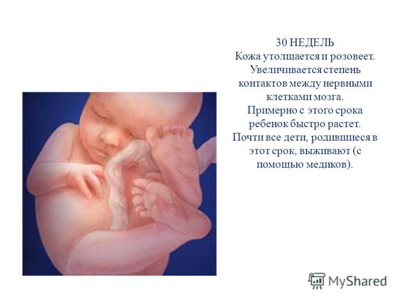 30 неделя беременности | уроки для мам