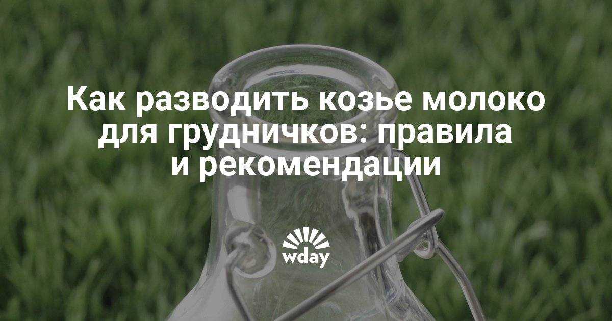 Первый прикорм – правила: как и когда вводить прикорм при грудном вскармливании - agulife.ru