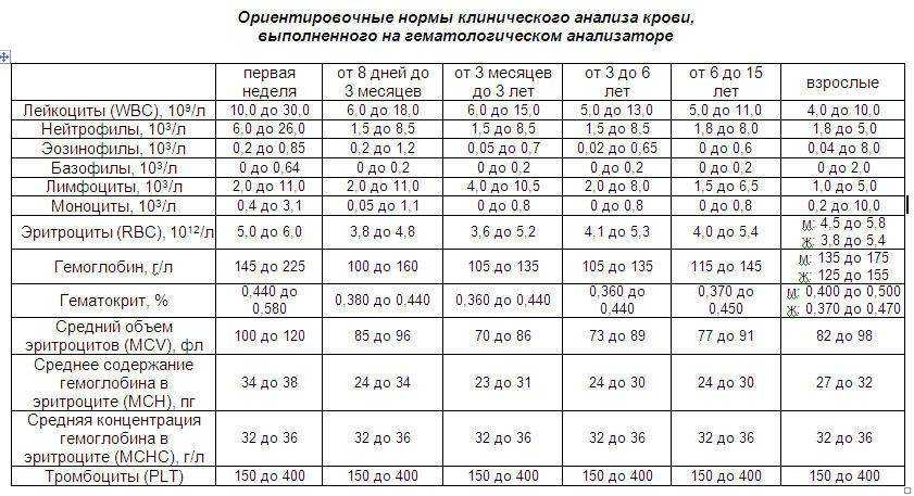 Эритроциты в крови повышены у ребенка: о чем это говорит, причины, как лечить