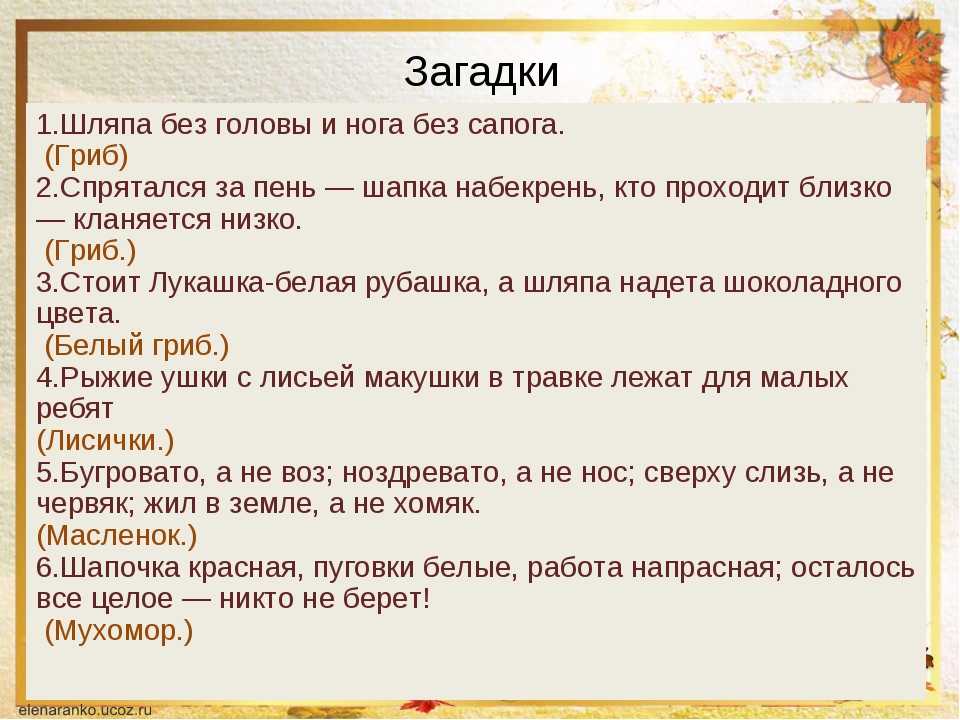 Загадки про грибы с ответами для дошкольников и детей постарше
